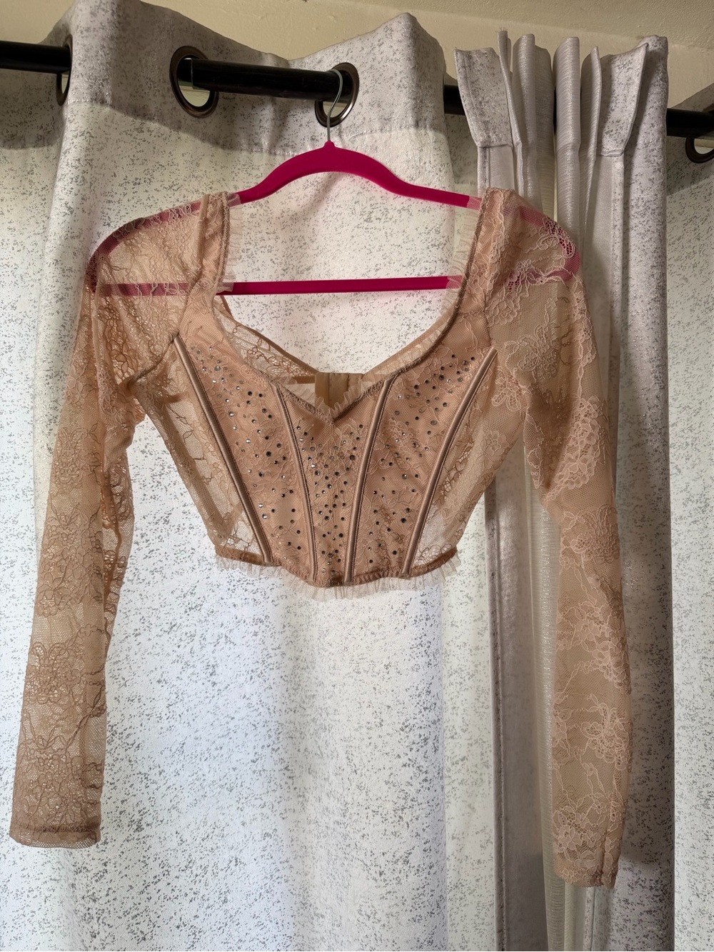 Sheer Lace Long-Sleeve Crop Top in Nude